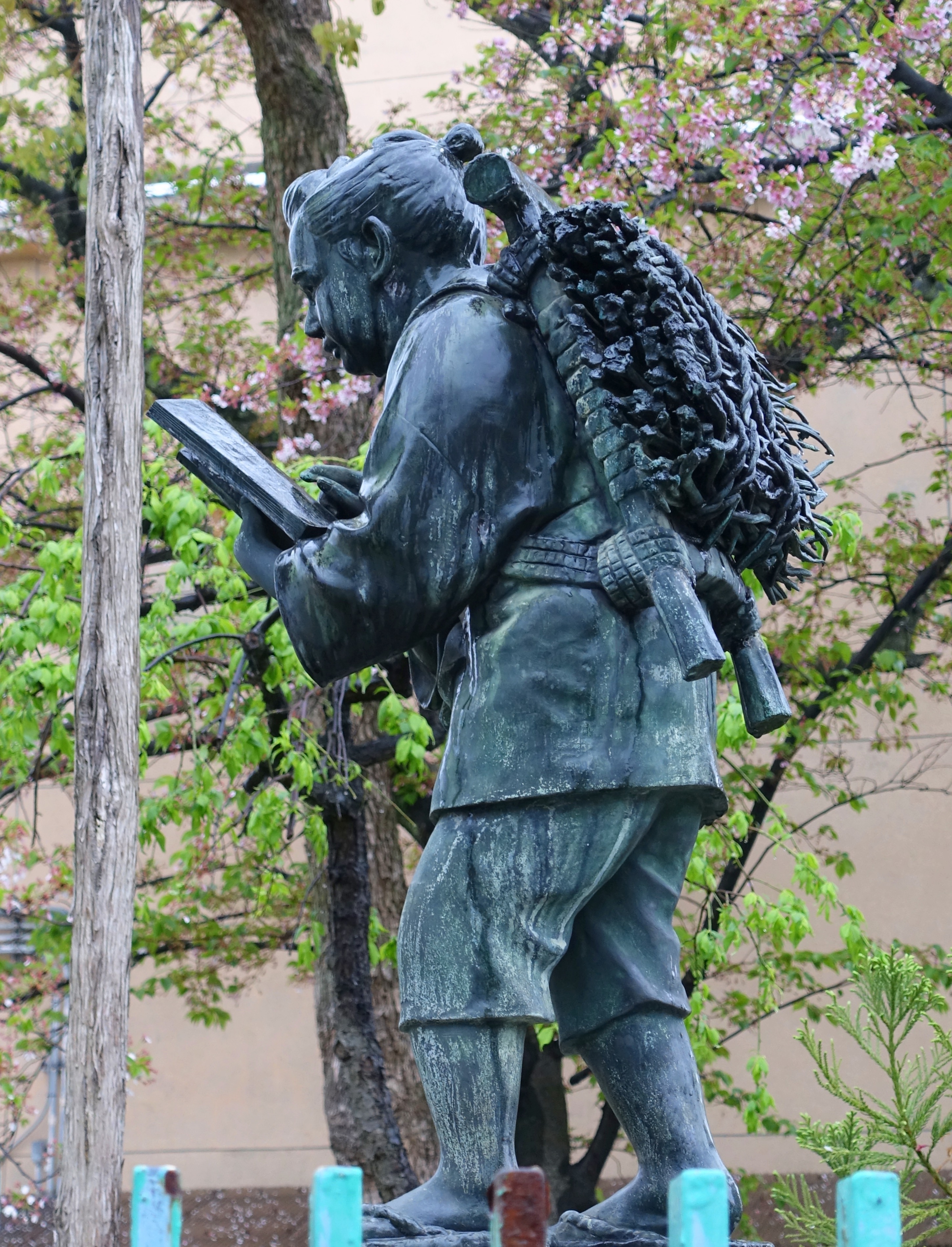 Bronze statue of Ninomiya Kinjiro as a boy, walking with a bundle of firewood roped to his back while reading an open book.